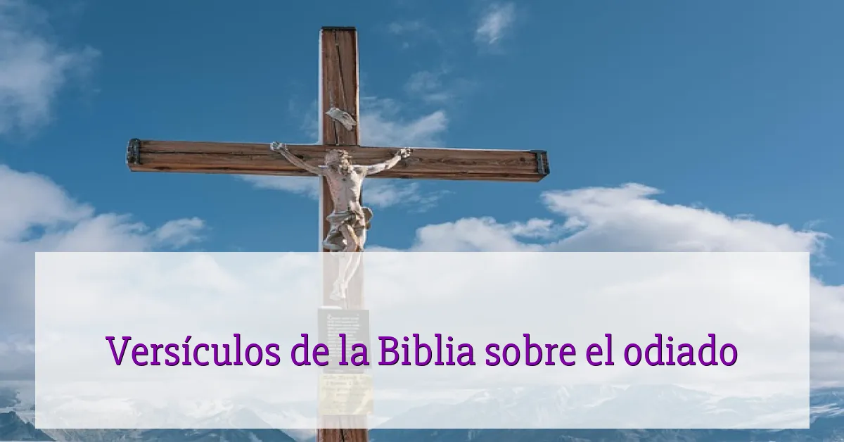 Versículos de la Biblia sobre el odiado