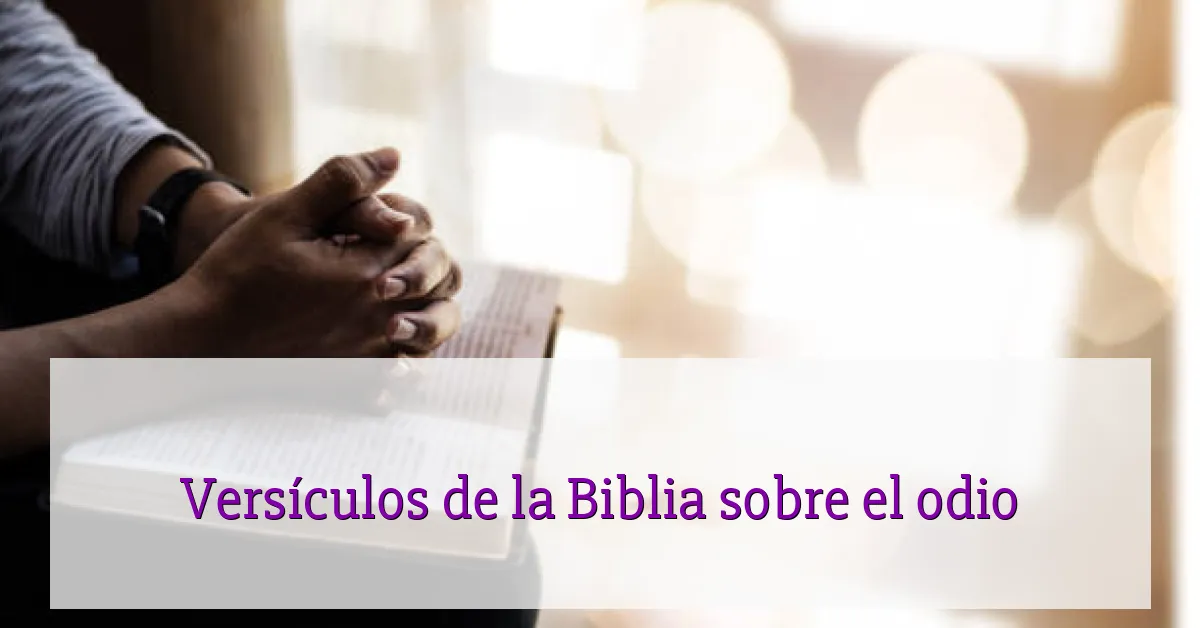 Versículos de la Biblia sobre el odio