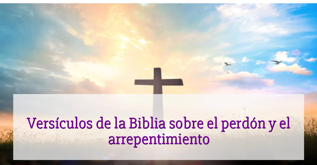 Versículos de la Biblia sobre el perdón y el arrepentimiento