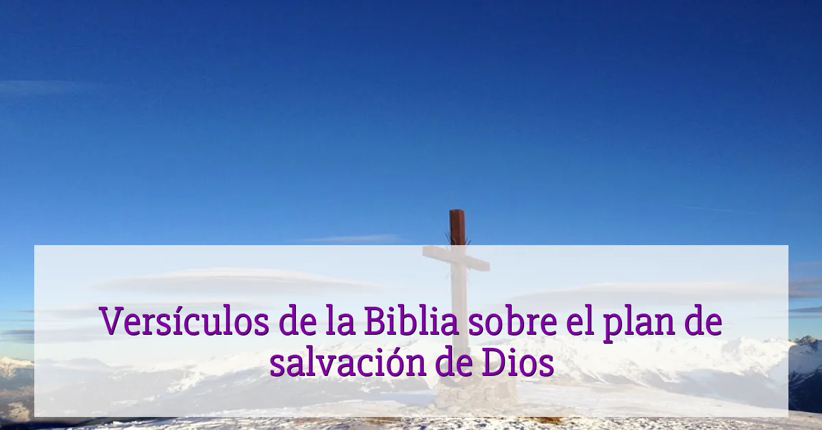 Versículos de la Biblia sobre el plan de salvación de Dios