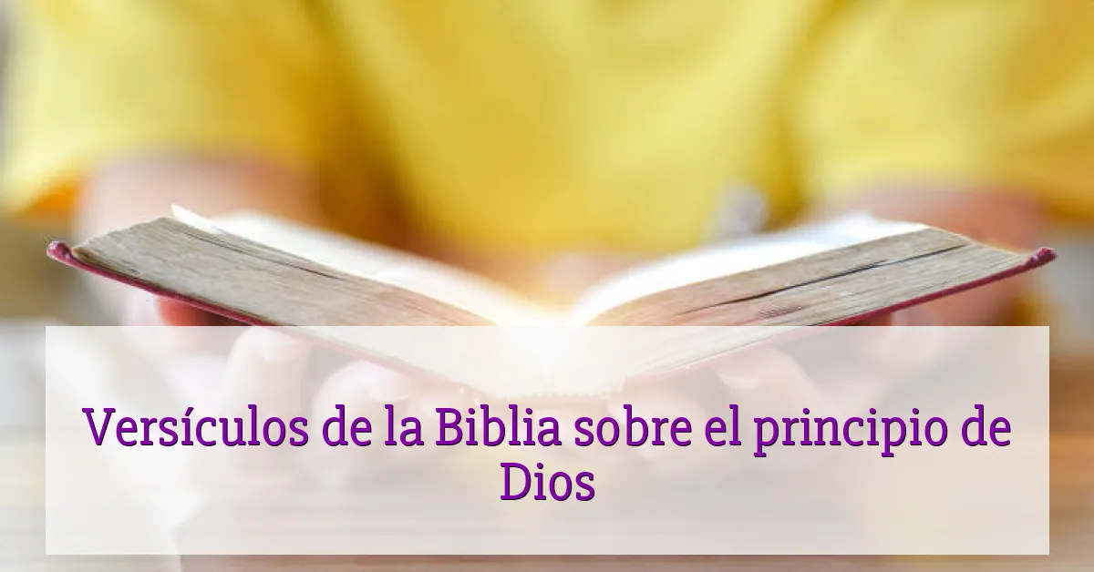 Versículos de la Biblia sobre el principio de Dios