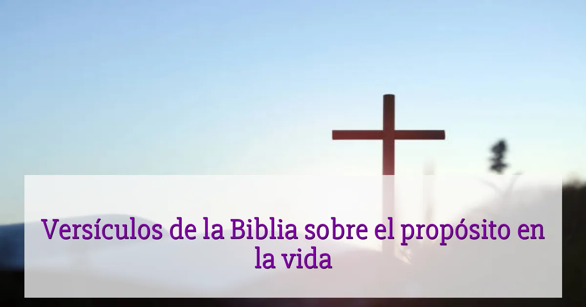 Versículos de la Biblia sobre el propósito en la vida