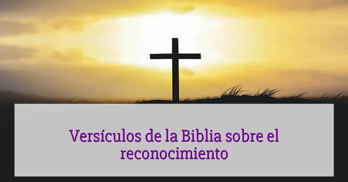 Versículos de la Biblia sobre el reconocimiento