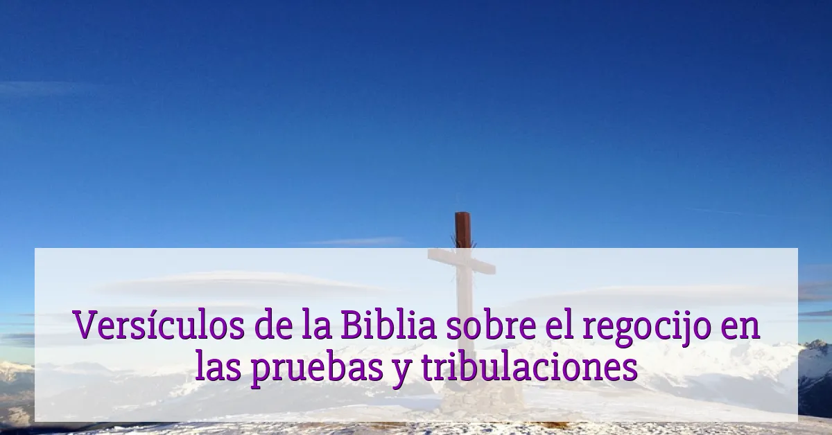 Versículos de la Biblia sobre el regocijo en las pruebas y tribulaciones