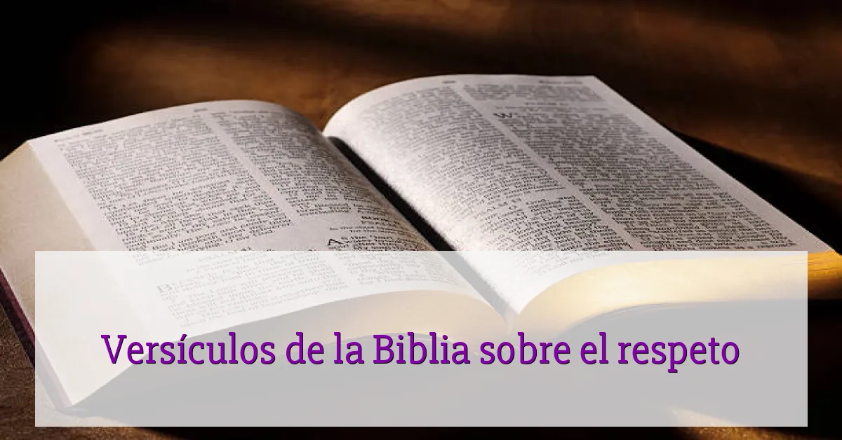Versículos de la Biblia sobre el respeto