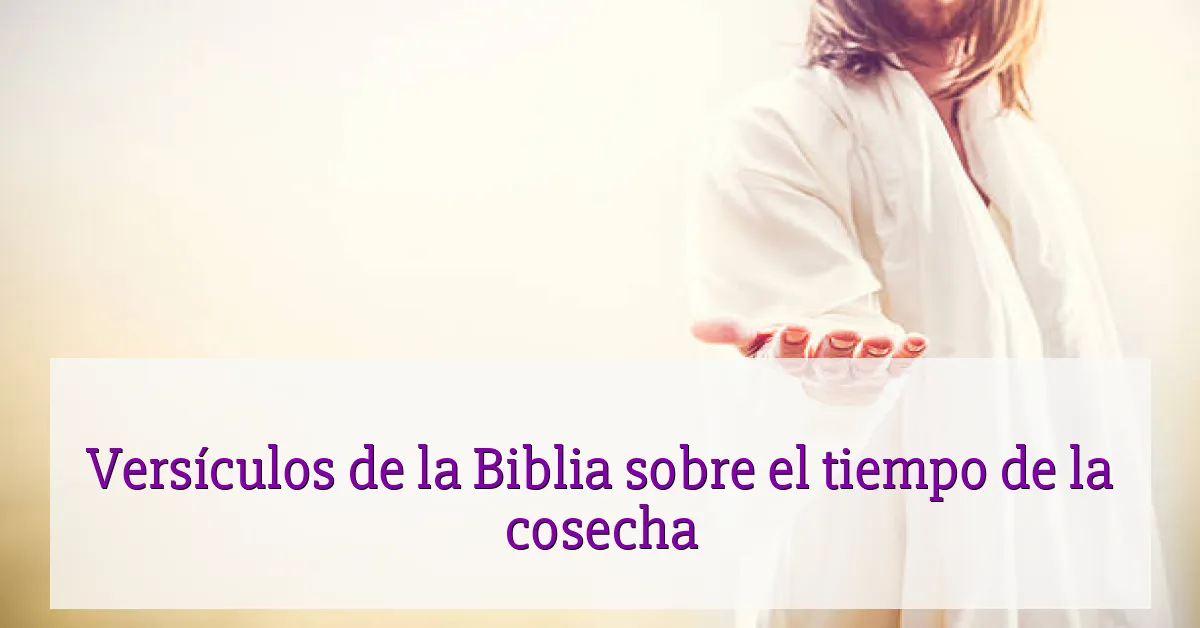 Versículos de la Biblia sobre el tiempo de la cosecha