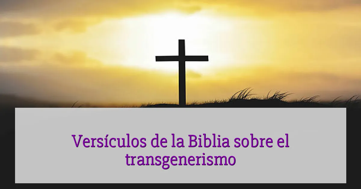 Versículos de la Biblia sobre el transgenerismo