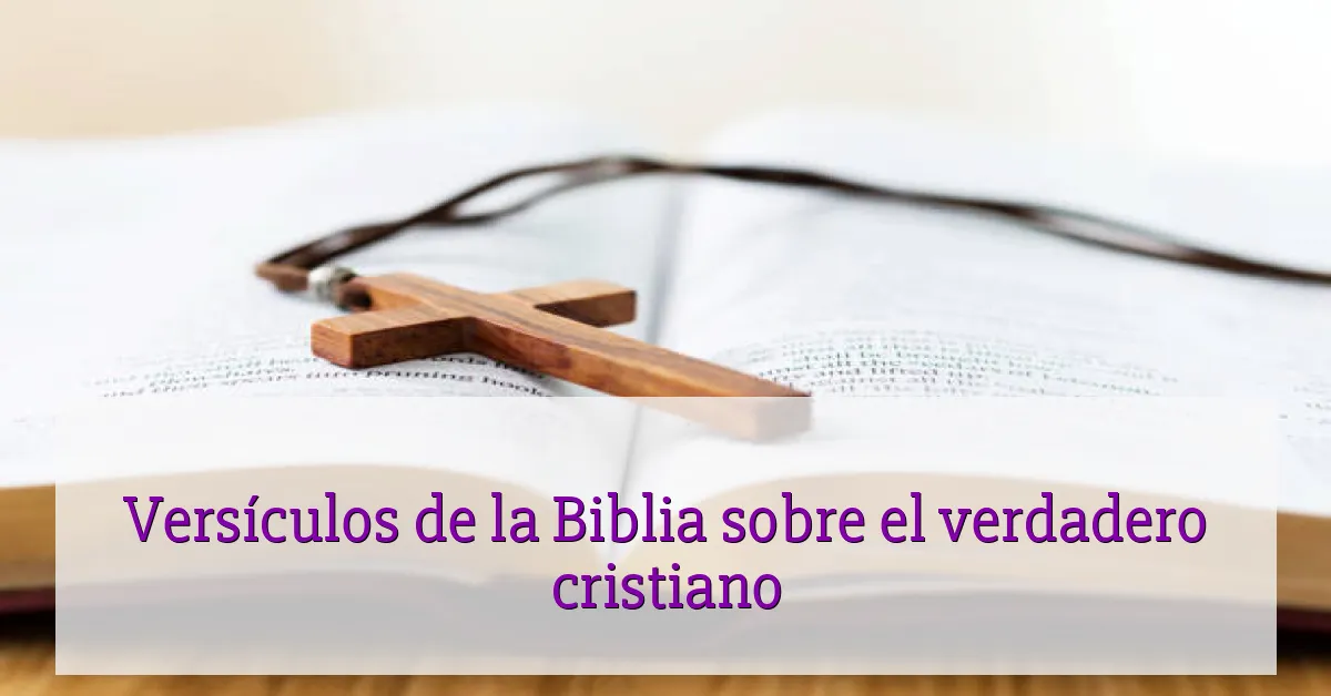 Versículos de la Biblia sobre el verdadero cristiano