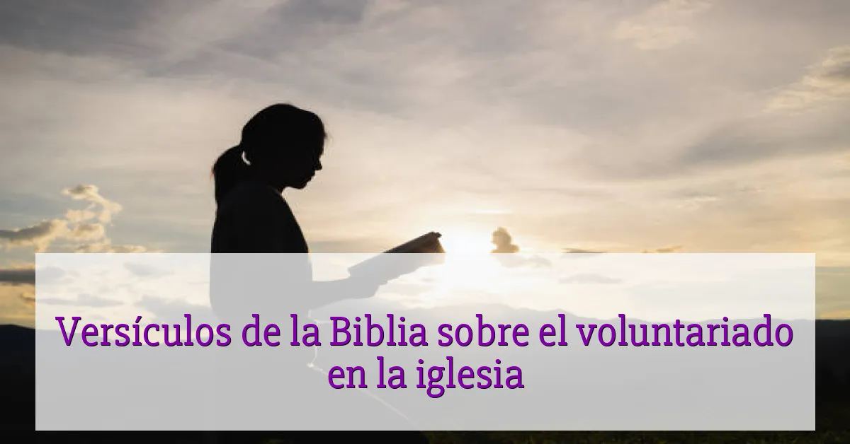 Versículos de la Biblia sobre el voluntariado en la iglesia