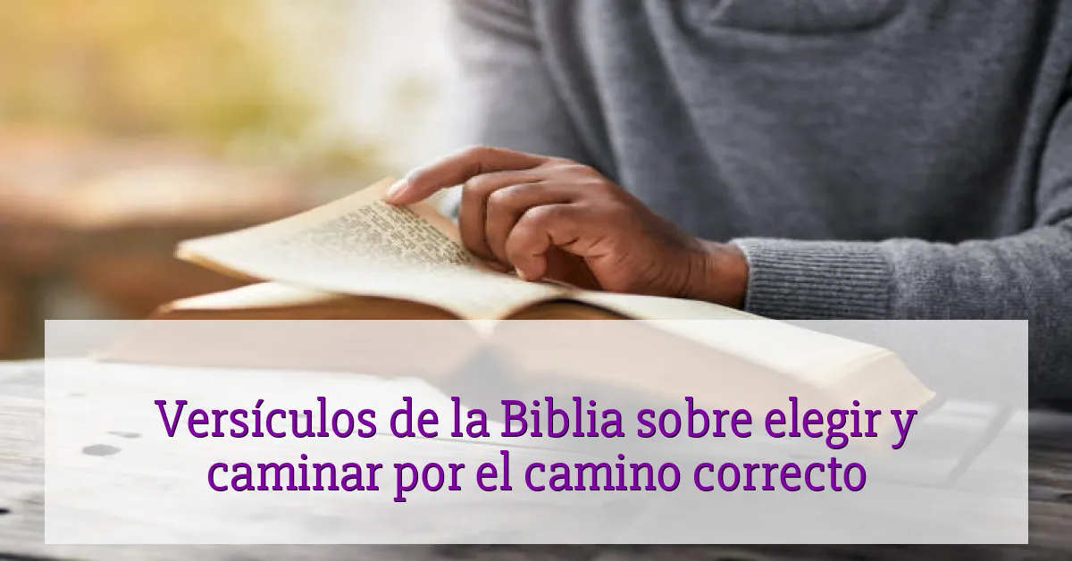 Versículos de la Biblia sobre elegir y caminar por el camino correcto