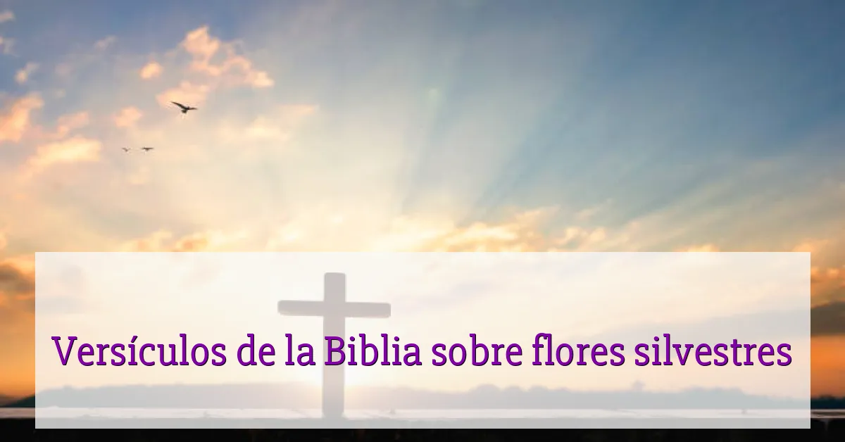 Versículos de la Biblia sobre flores silvestres
