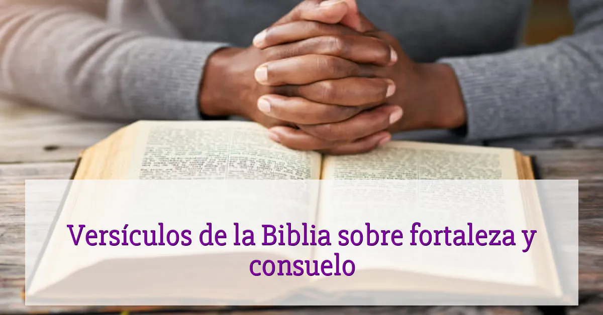 Versículos de la Biblia sobre fortaleza y consuelo