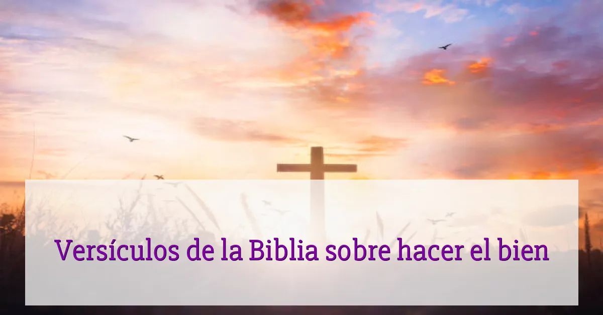 Versículos de la Biblia sobre hacer el bien