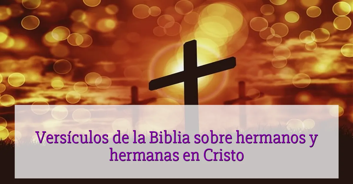 Versículos de la Biblia sobre hermanos y hermanas en Cristo