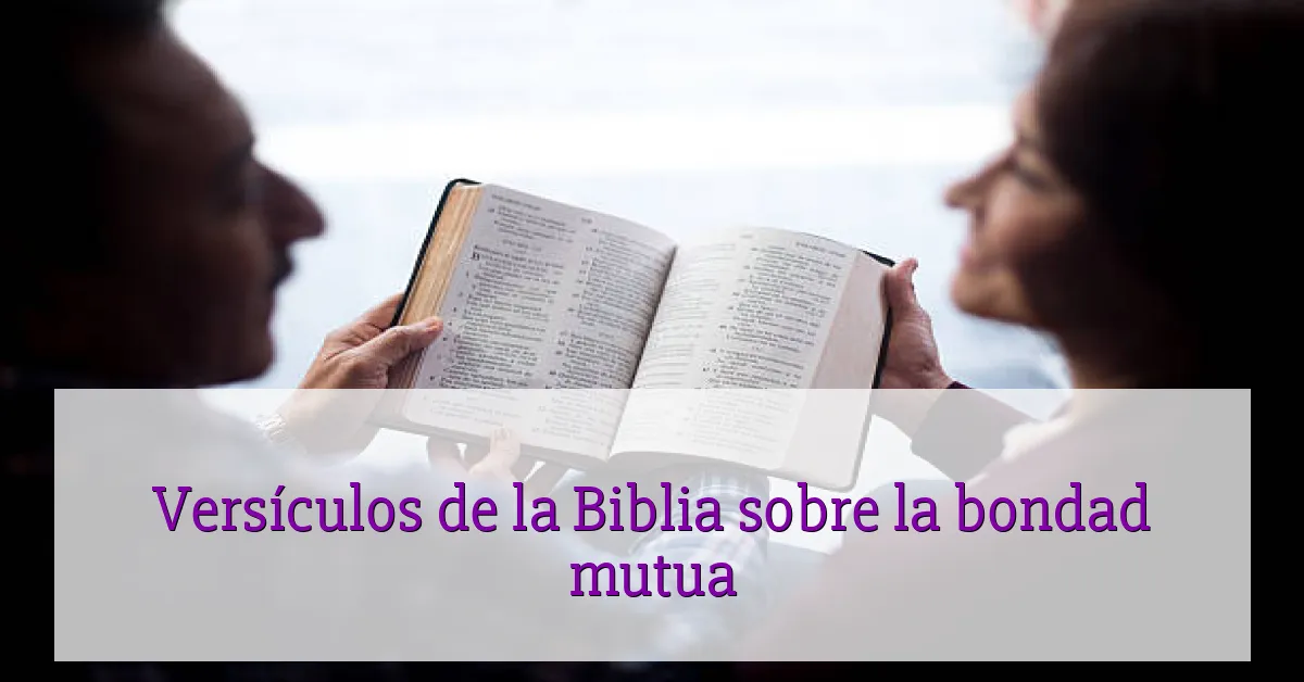 Versículos de la Biblia sobre la bondad mutua