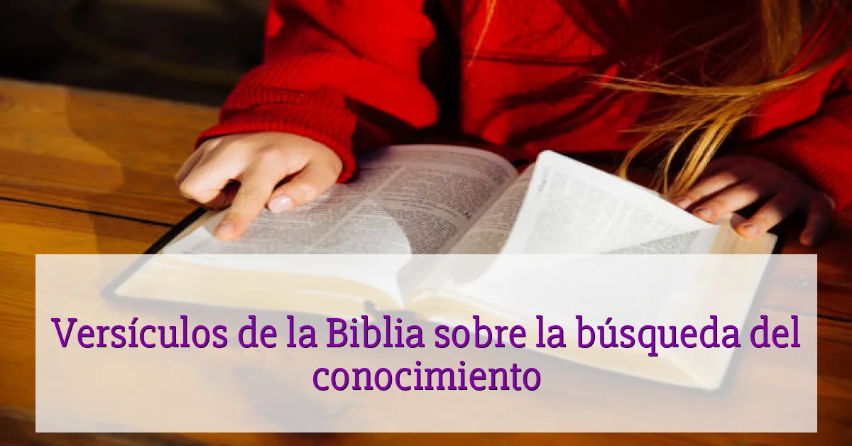 Versículos de la Biblia sobre la búsqueda del conocimiento