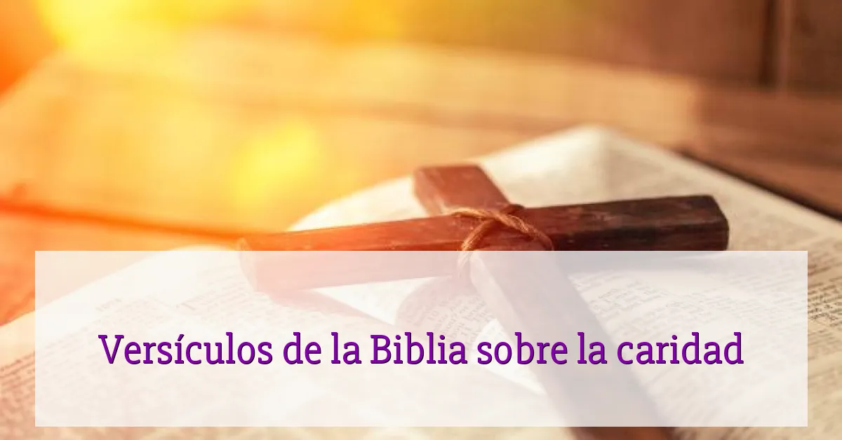 Versículos de la Biblia sobre la caridad