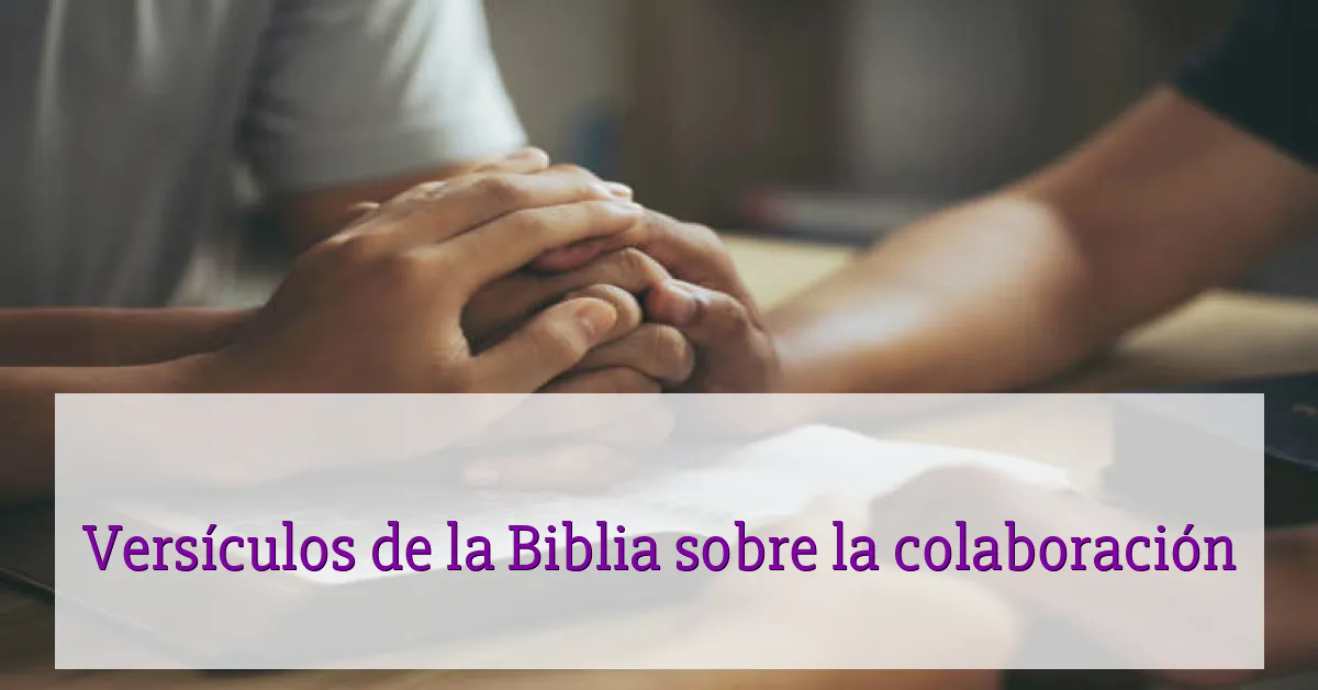 Versículos de la Biblia sobre la colaboración