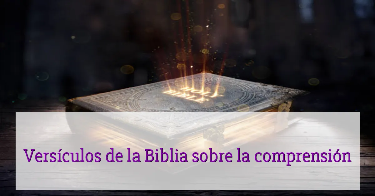 Versículos de la Biblia sobre la comprensión