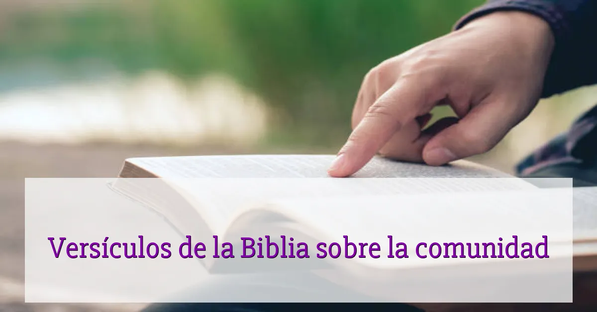 Versículos de la Biblia sobre la comunidad