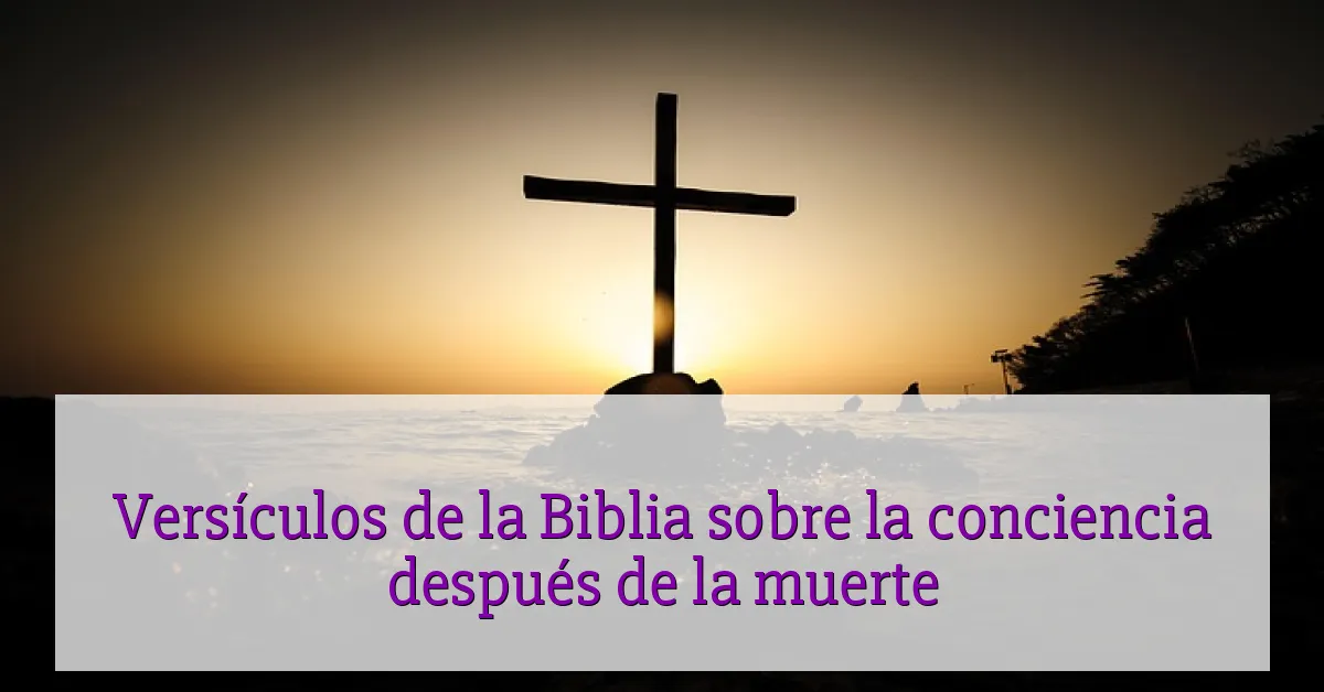 Versículos de la Biblia sobre la conciencia después de la muerte