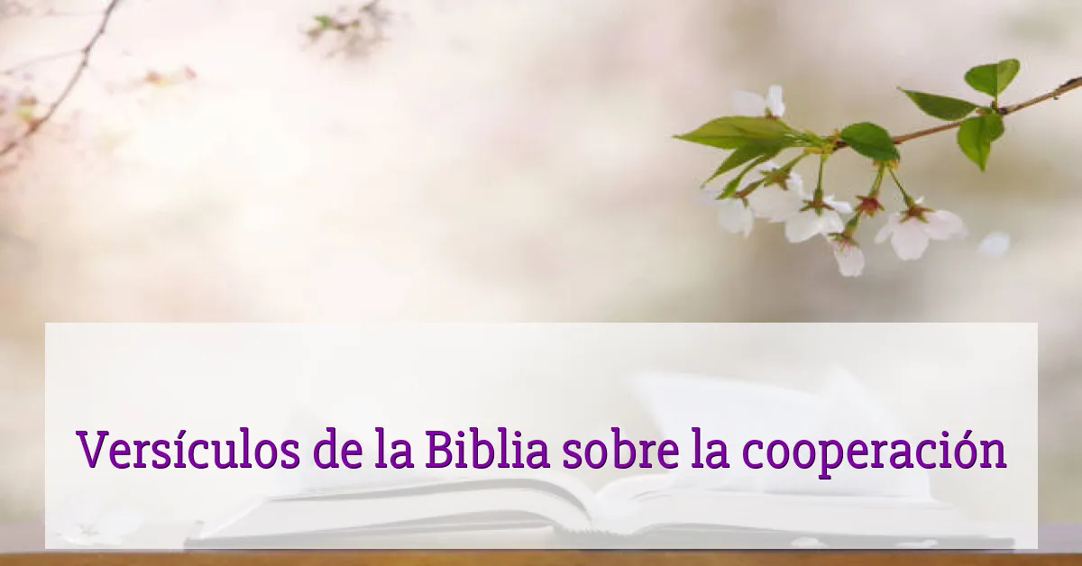 Versículos de la Biblia sobre la cooperación
