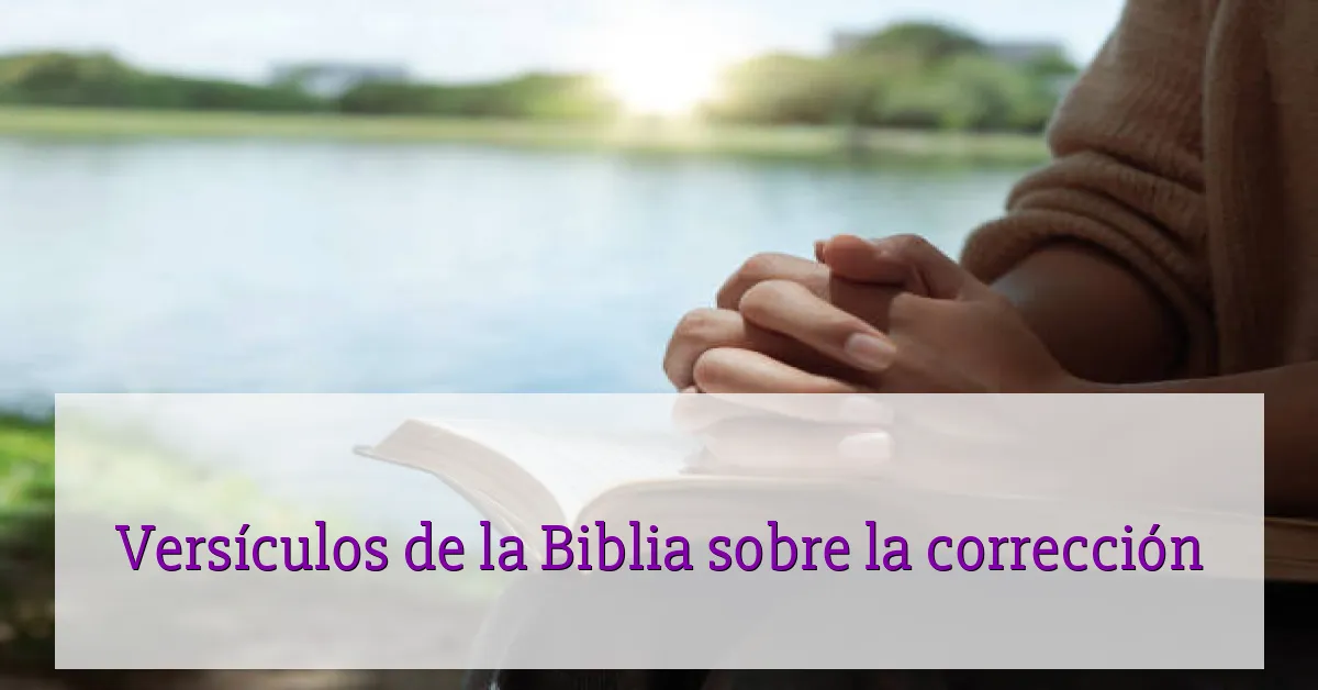 Versículos de la Biblia sobre la corrección