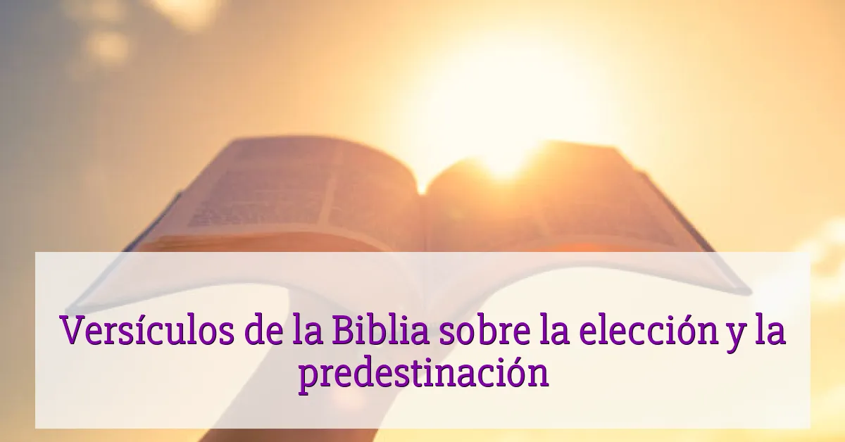 Versículos de la Biblia sobre la elección y la predestinación