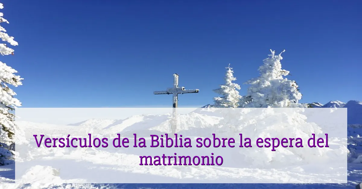 Versículos de la Biblia sobre la espera del matrimonio