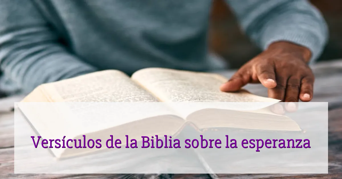 Versículos de la Biblia sobre la esperanza