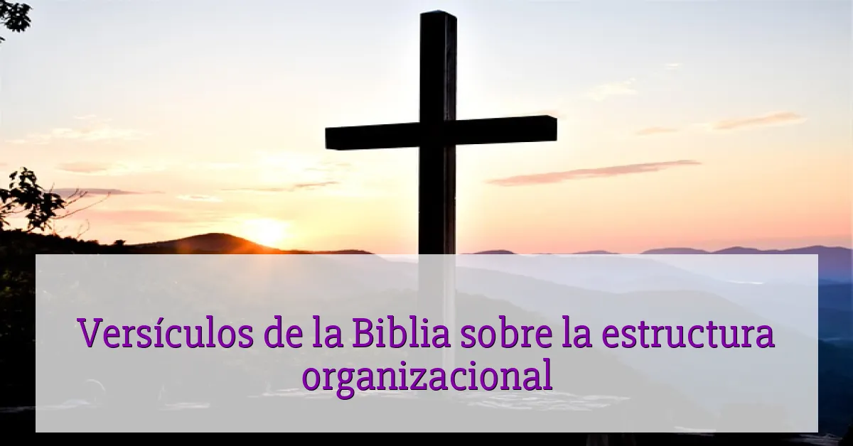 Versículos de la Biblia sobre la estructura organizacional