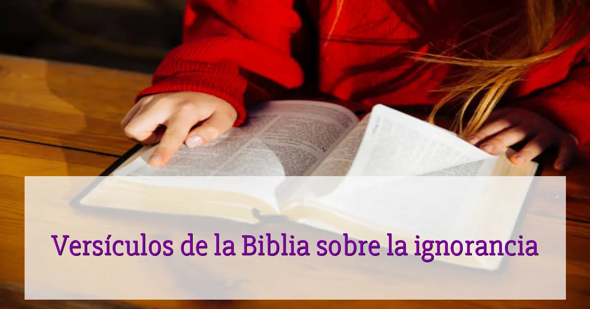 Versículos de la Biblia sobre la ignorancia