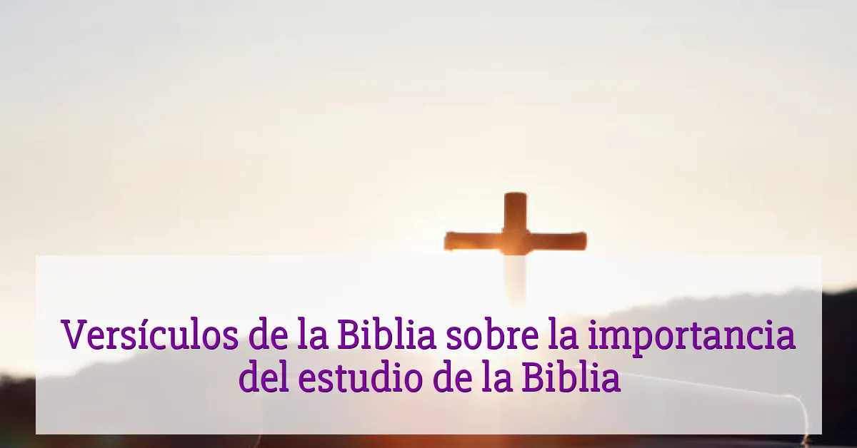 Versículos de la Biblia sobre la importancia del estudio de la Biblia