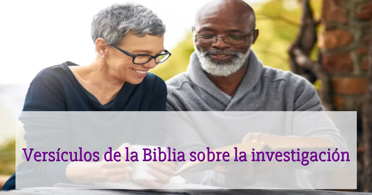 Versículos de la Biblia sobre la investigación