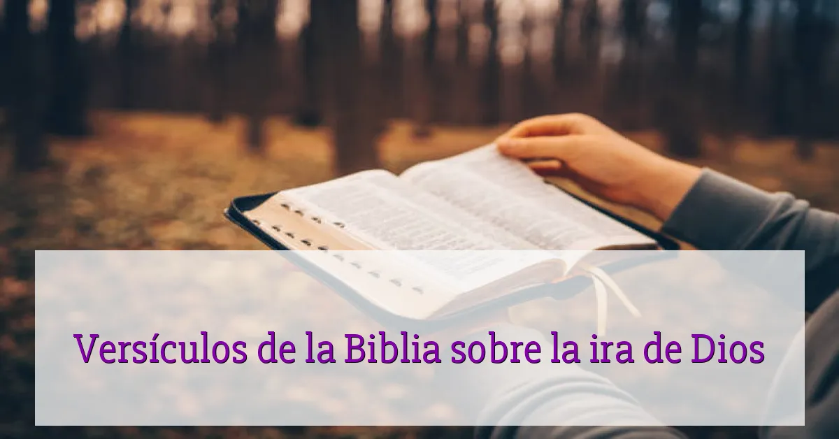 Versículos de la Biblia sobre la ira de Dios