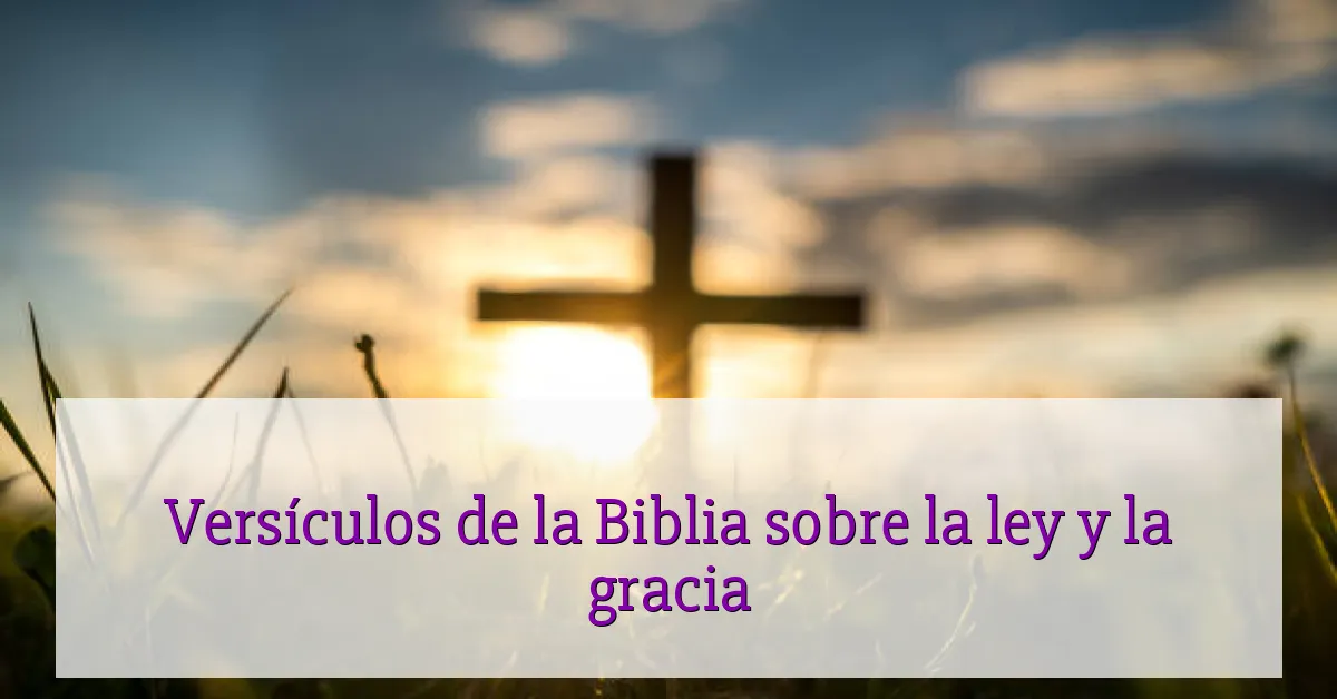 Versículos de la Biblia sobre la ley y la gracia