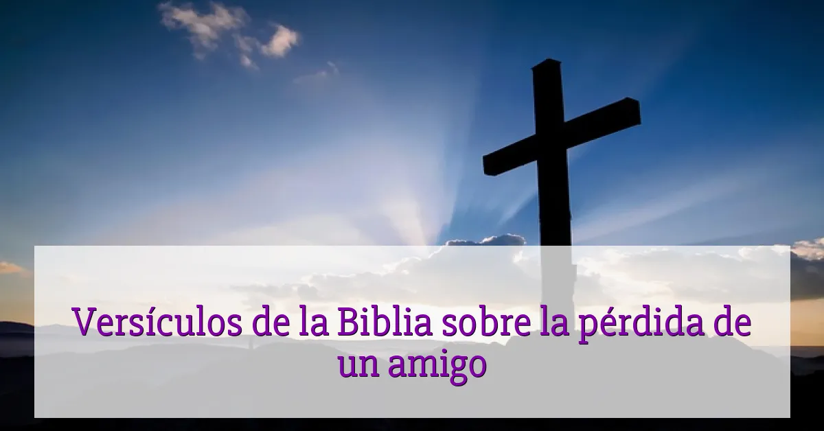 Versículos de la Biblia sobre la pérdida de un amigo