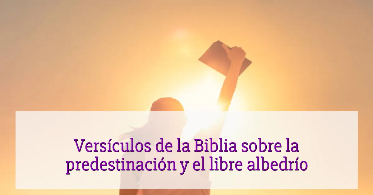 Versículos de la Biblia sobre la predestinación y el libre albedrío
