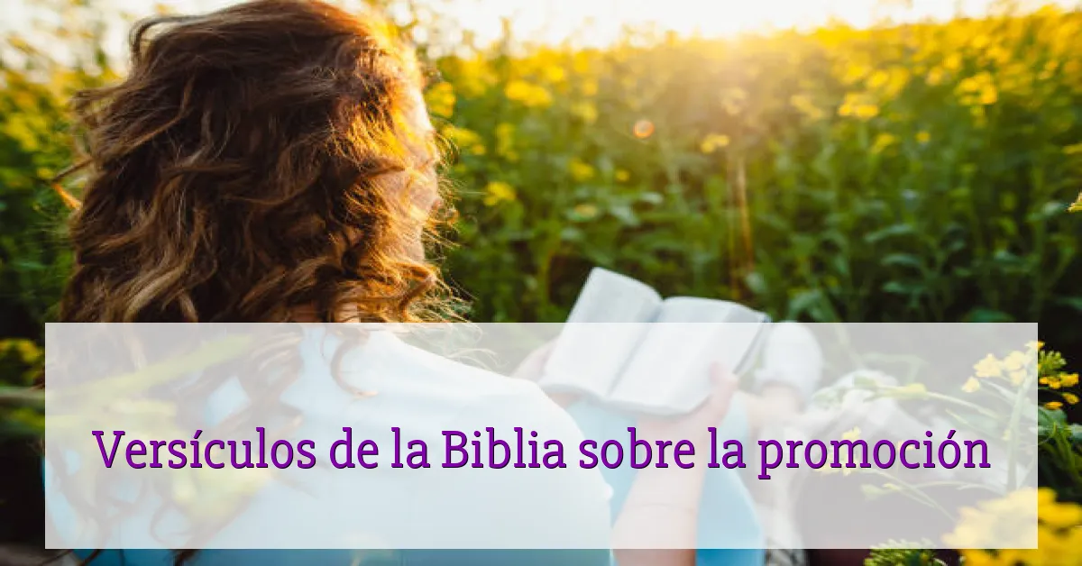 Versículos de la Biblia sobre la promoción