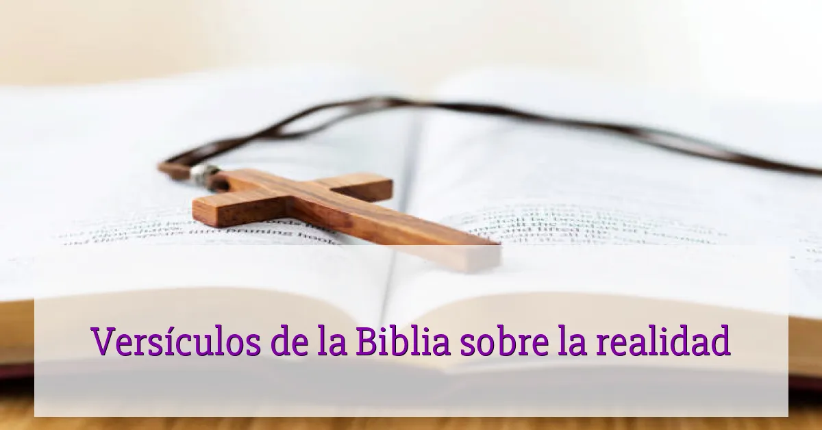 Versículos de la Biblia sobre la realidad