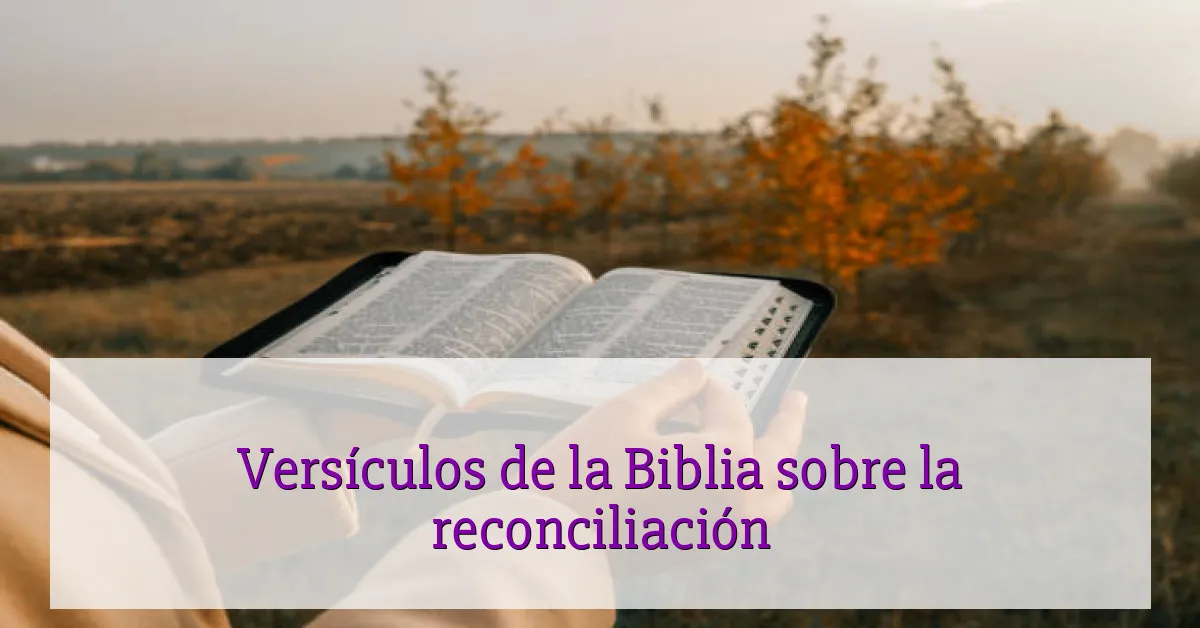 Versículos de la Biblia sobre la reconciliación