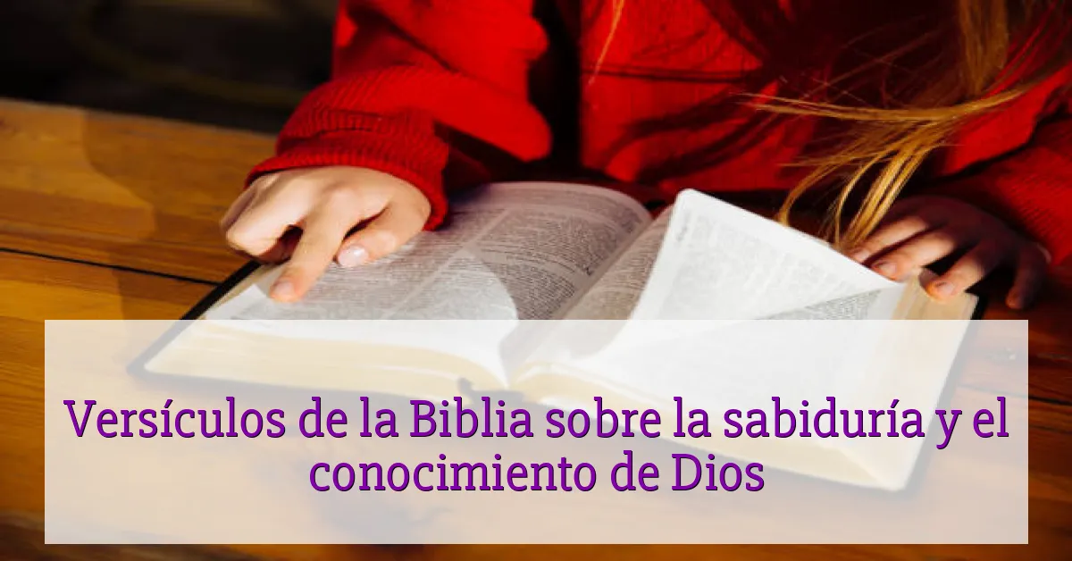 Versículos de la Biblia sobre la sabiduría y el conocimiento de Dios