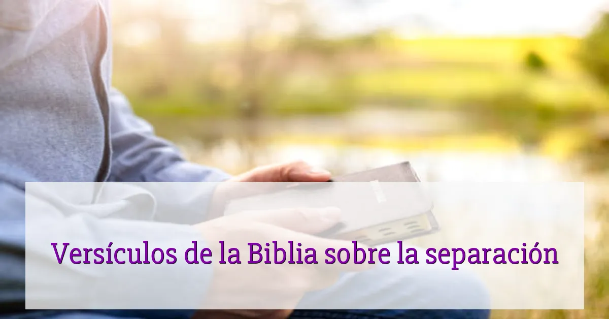 Versículos de la Biblia sobre la separación