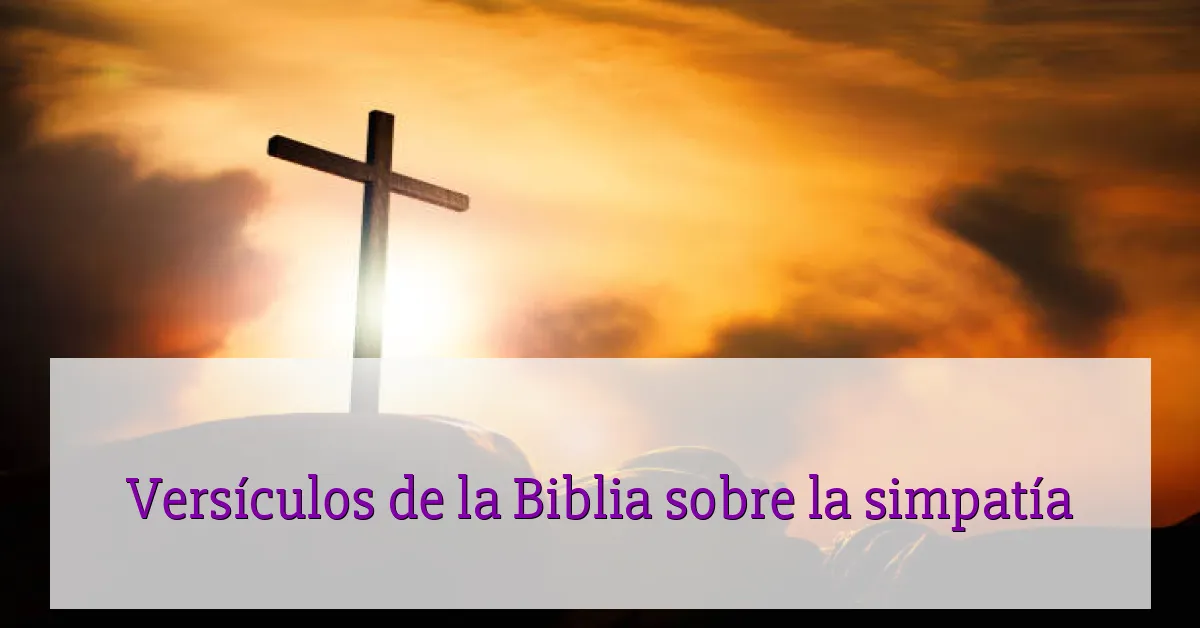 Versículos de la Biblia sobre la simpatía
