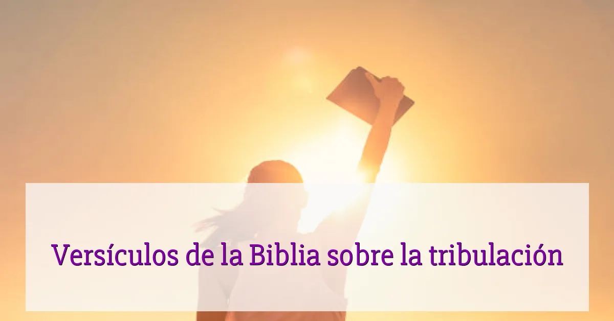 Versículos de la Biblia sobre la tribulación