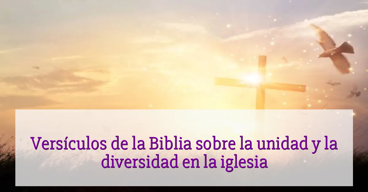 Versículos de la Biblia sobre la unidad y la diversidad en la iglesia