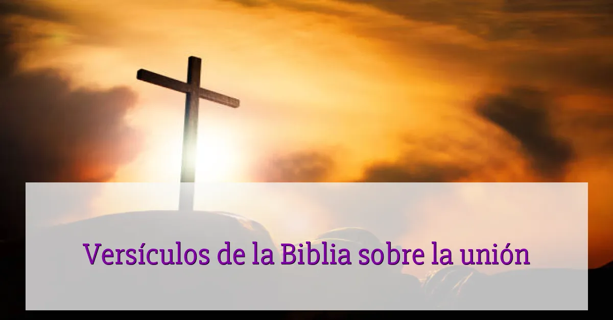 Versículos de la Biblia sobre la unión