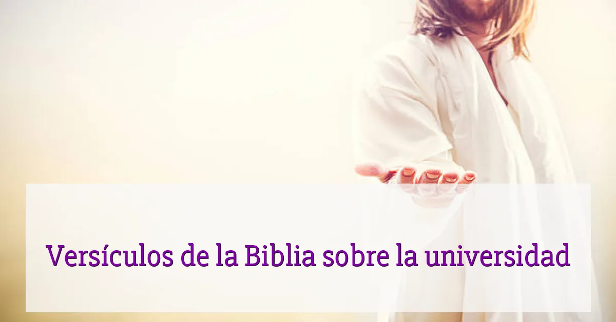 Versículos de la Biblia sobre la universidad