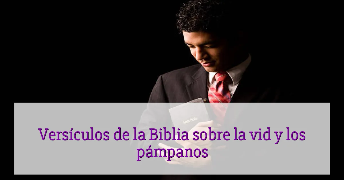 Versículos de la Biblia sobre la vid y los pámpanos