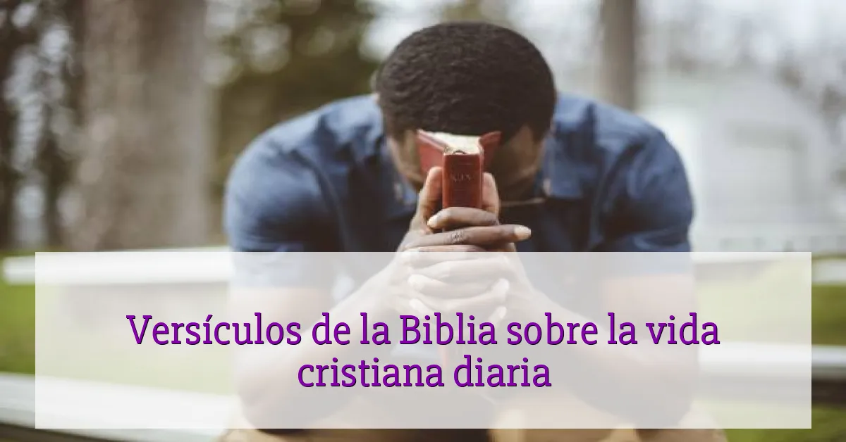 Versículos de la Biblia sobre la vida cristiana diaria